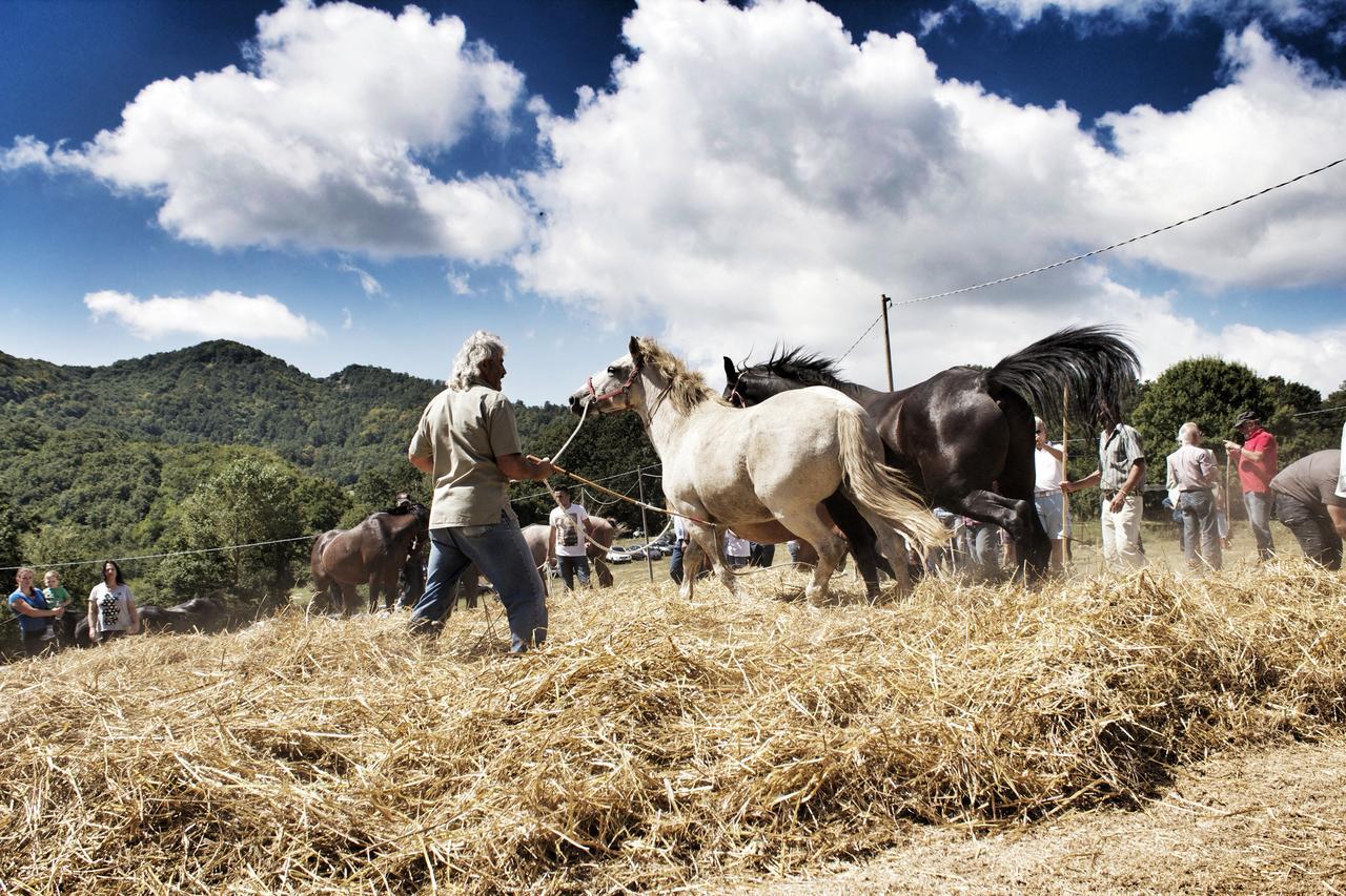 Masseria Monte Pizzi Carovilli Dış mekan fotoğraf